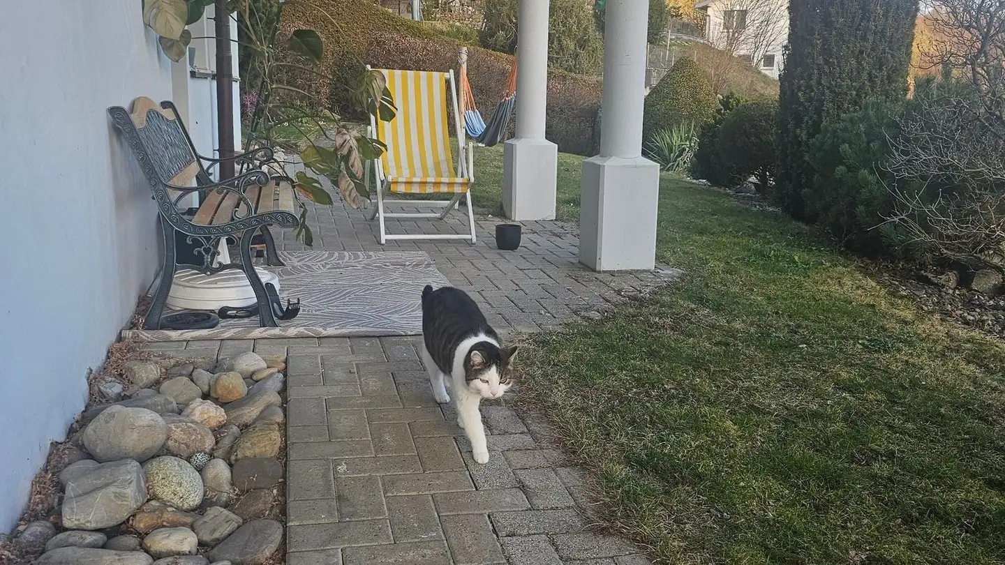 Appartement en terrasse à louer - Spitalstrasse 12, 6110 Wolhusen - Photo 2