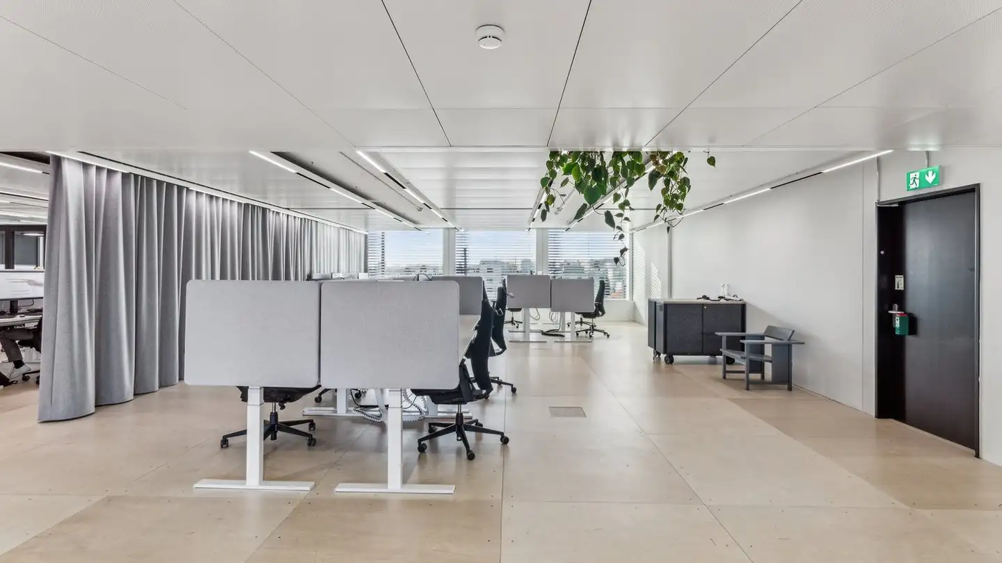 Spazio ufficio in affitto - 8050 Zürich - Foto 4