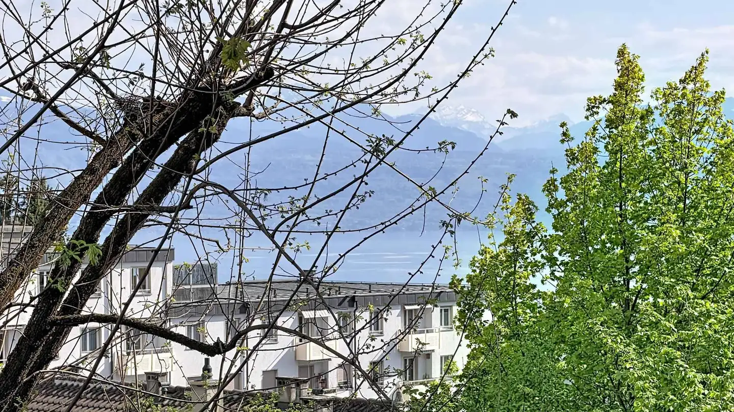 Apartment for sale - 1012 Lausanne
