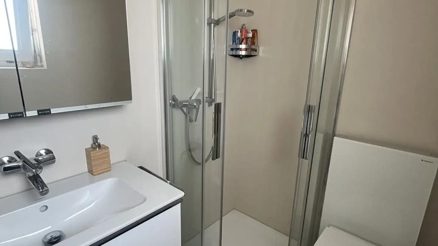 Apartment for rent - 6210 Sursee - Photo 4
