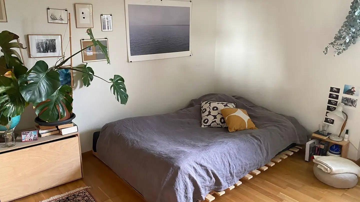 Stanza singola in affitto - Ackersteinstrasse 15, 8049 Zürich