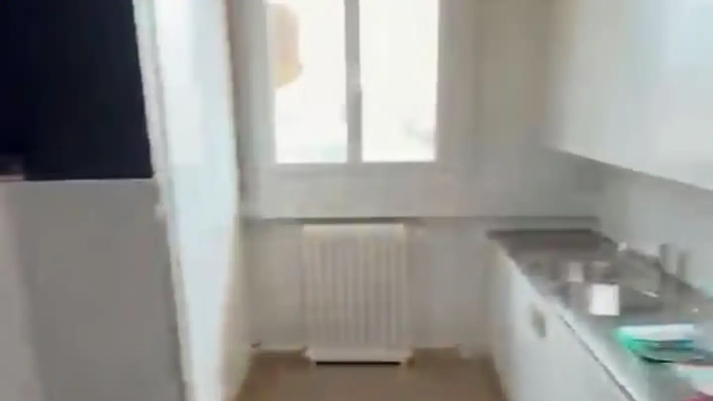 Appartement à louer - Chemin Du Faubourg-De-Cruseilles 11, 1227 Carouge GE - Photo 4