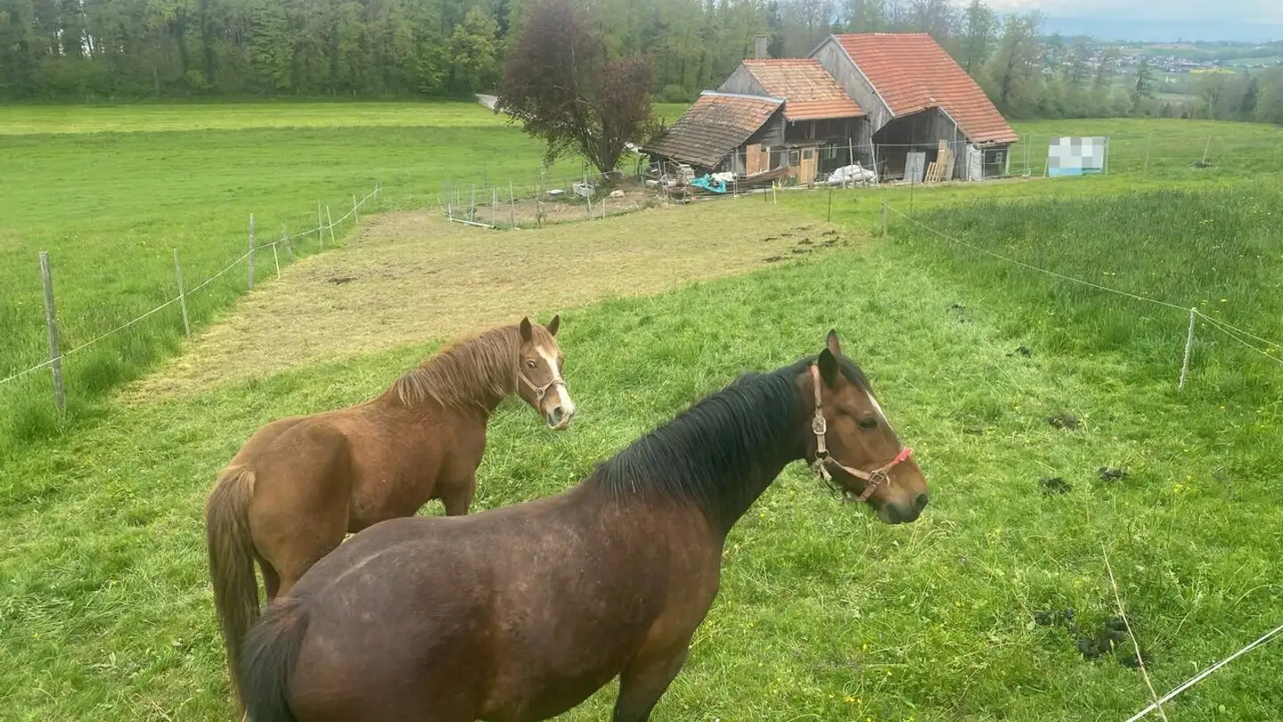 Immobile in vendita - 1756 Onnens FR