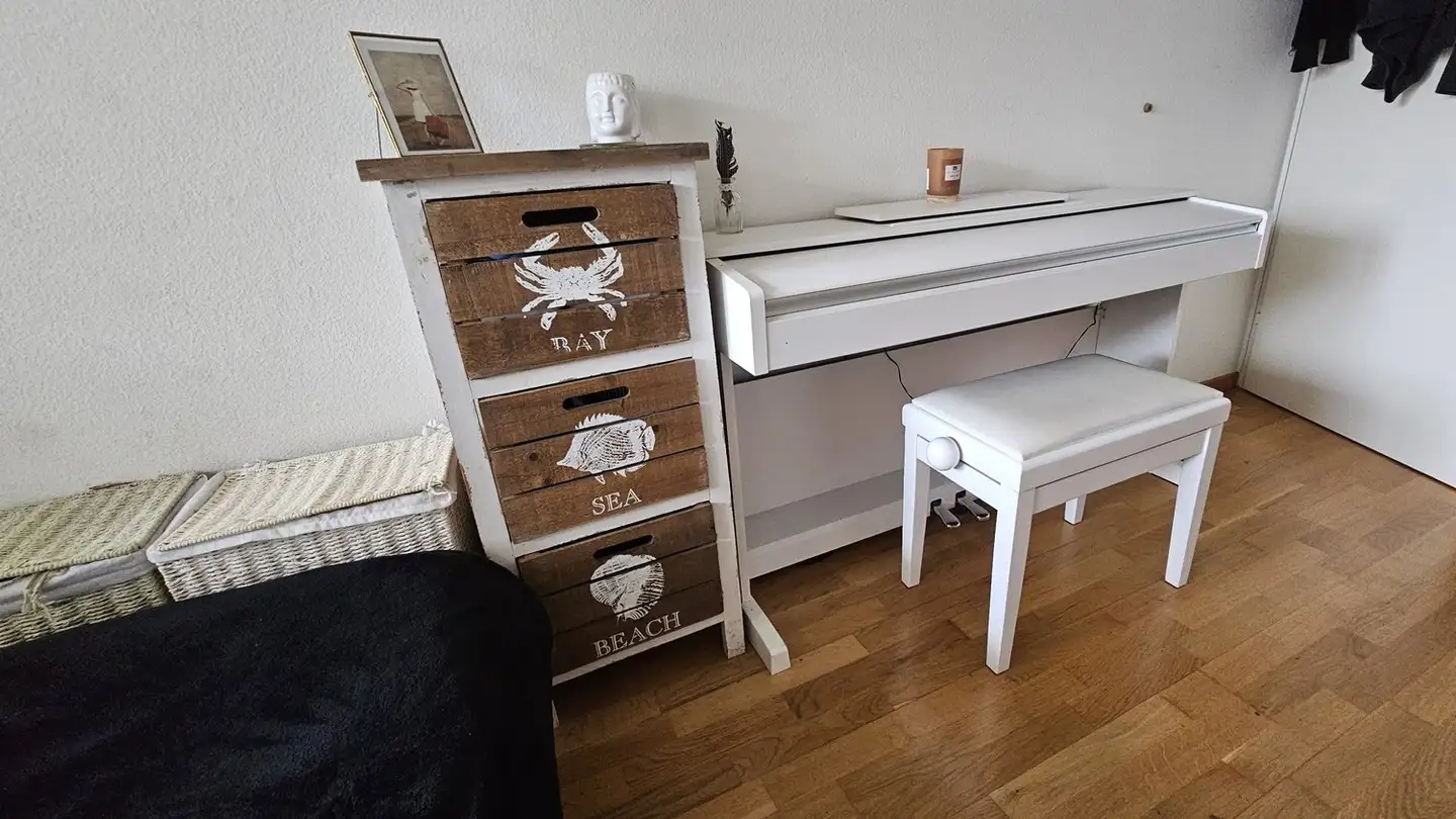 Single room for rent - Burstwiesenstrasse 20, 8606 Greifensee - Photo 3