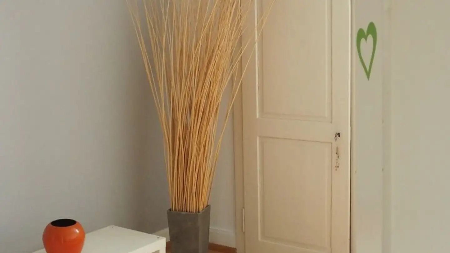 Zimmer mieten - 8004 Zürich