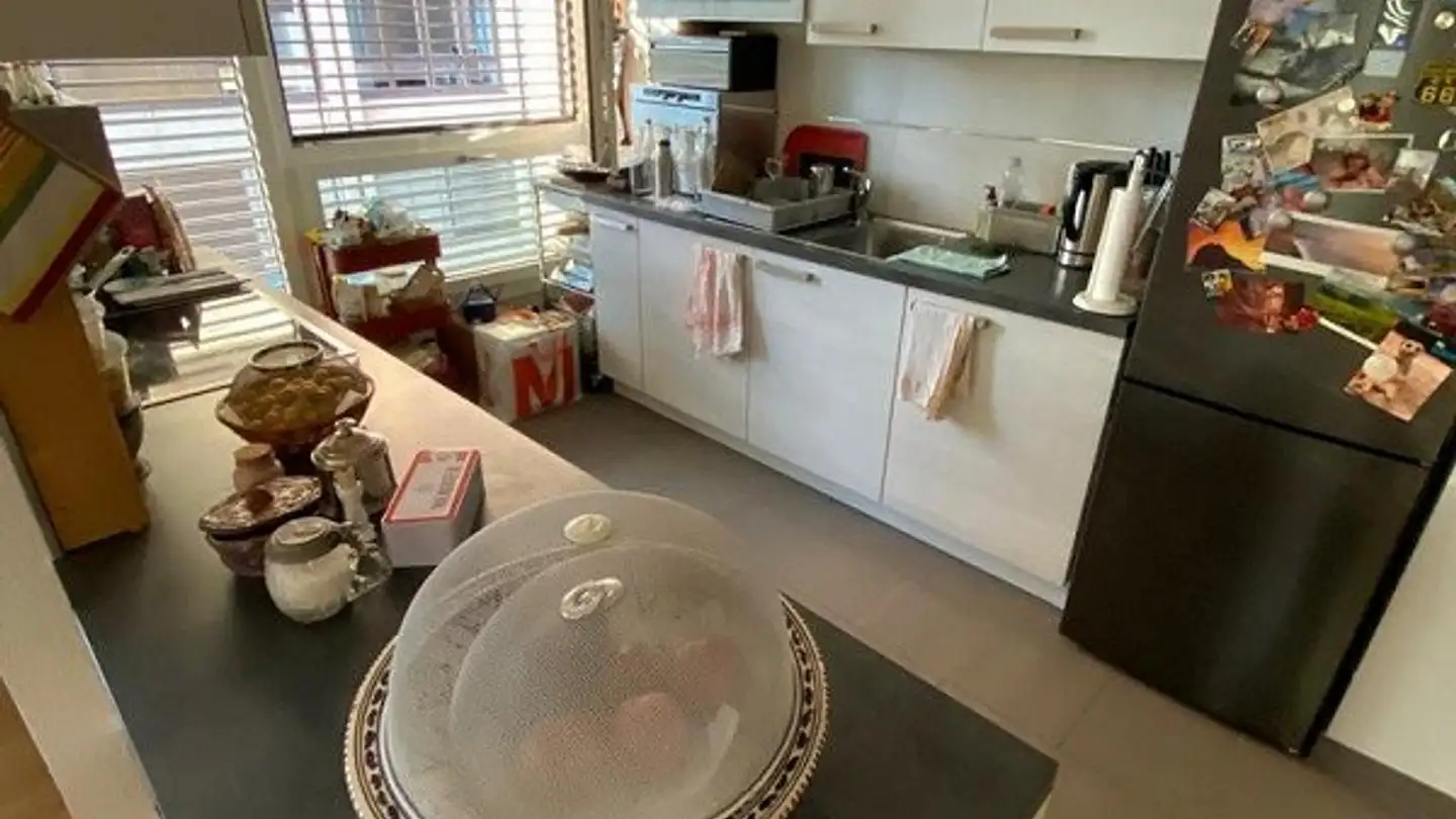 Apartment for rent - Rue Du Pré-Jérôme 21, 1205 Genève - Photo 3
