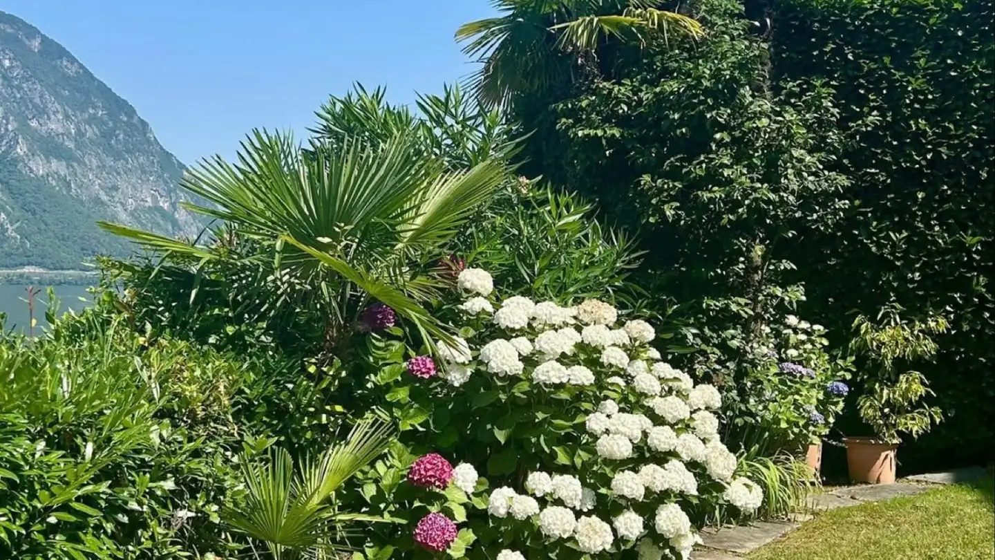 Appartamento in affitto - Via Campione, 6816 Bissone - Photo 4