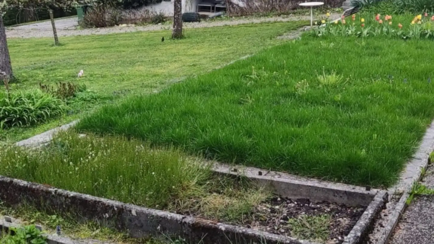 Appartement à louer - Marienweg 1, 3400 Burgdorf