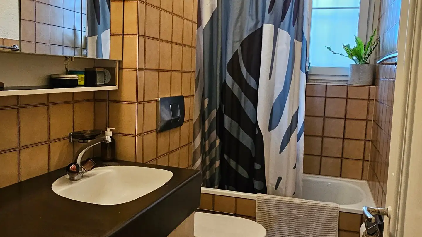 Apartment for rent - St. Galler-Ring 201, 4054 Basel - Photo 4