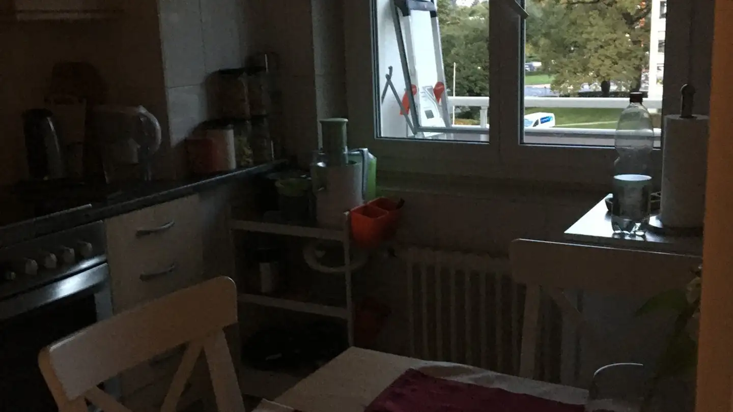 Apartment for rent - Rue du Vidollet 16, 1202 Genève - Photo 4