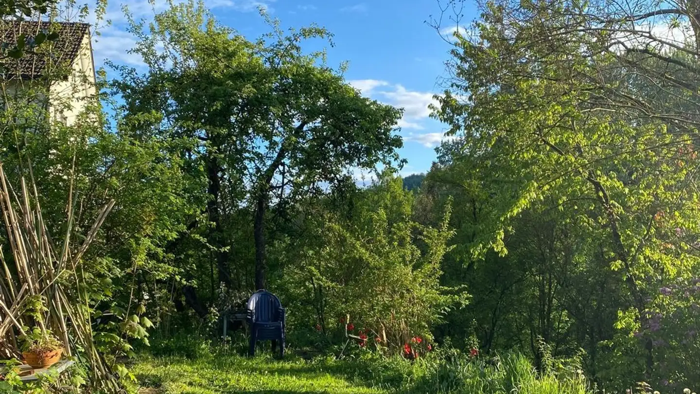 Single room for rent - 8953 Dietikon - Photo 2