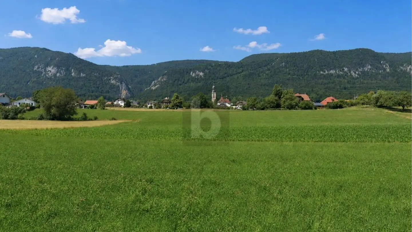 Reihenhaus mieten - 4515 Oberdorf SO