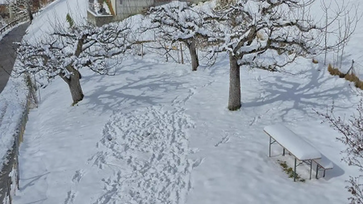 Einfamilienhaus mieten - 7026 Maladers - Foto 4