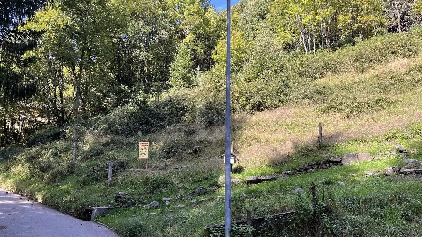 Constructible plot for sale - 6583 S. Antonio (Val Morobbia)