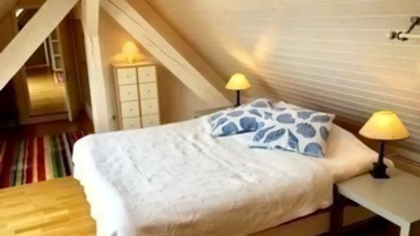 Furnished apartment for rent - 4410 Liestal - Photo 4