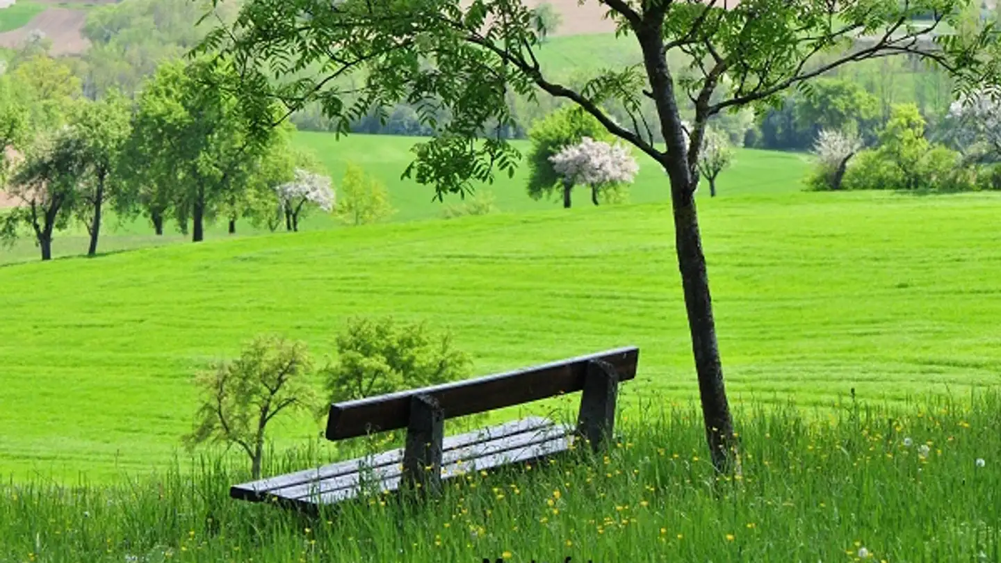 Farm for sale - 6677 Moghegno