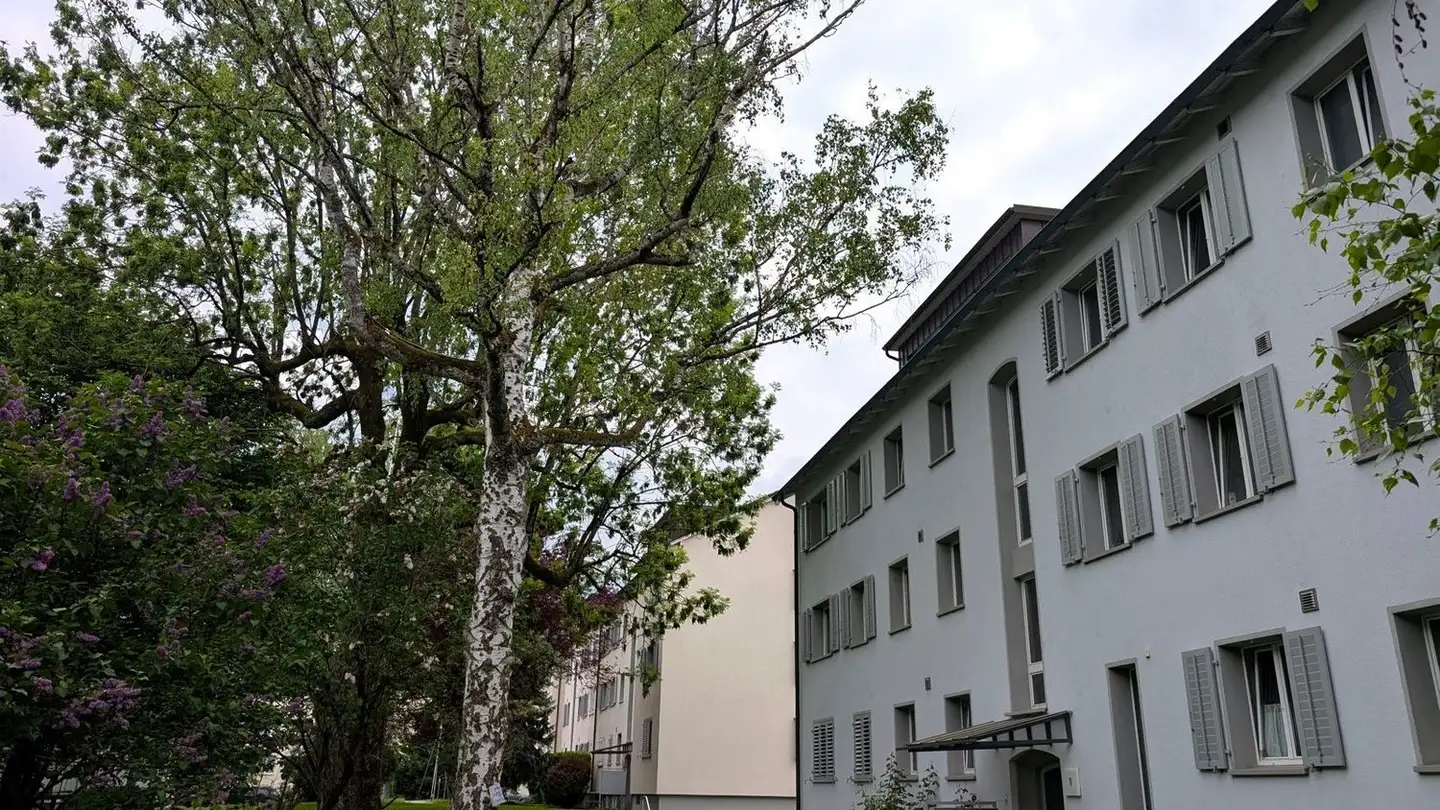 Chambre à louer - Küngenmatt 11, 8055 Zürich - Photo 2