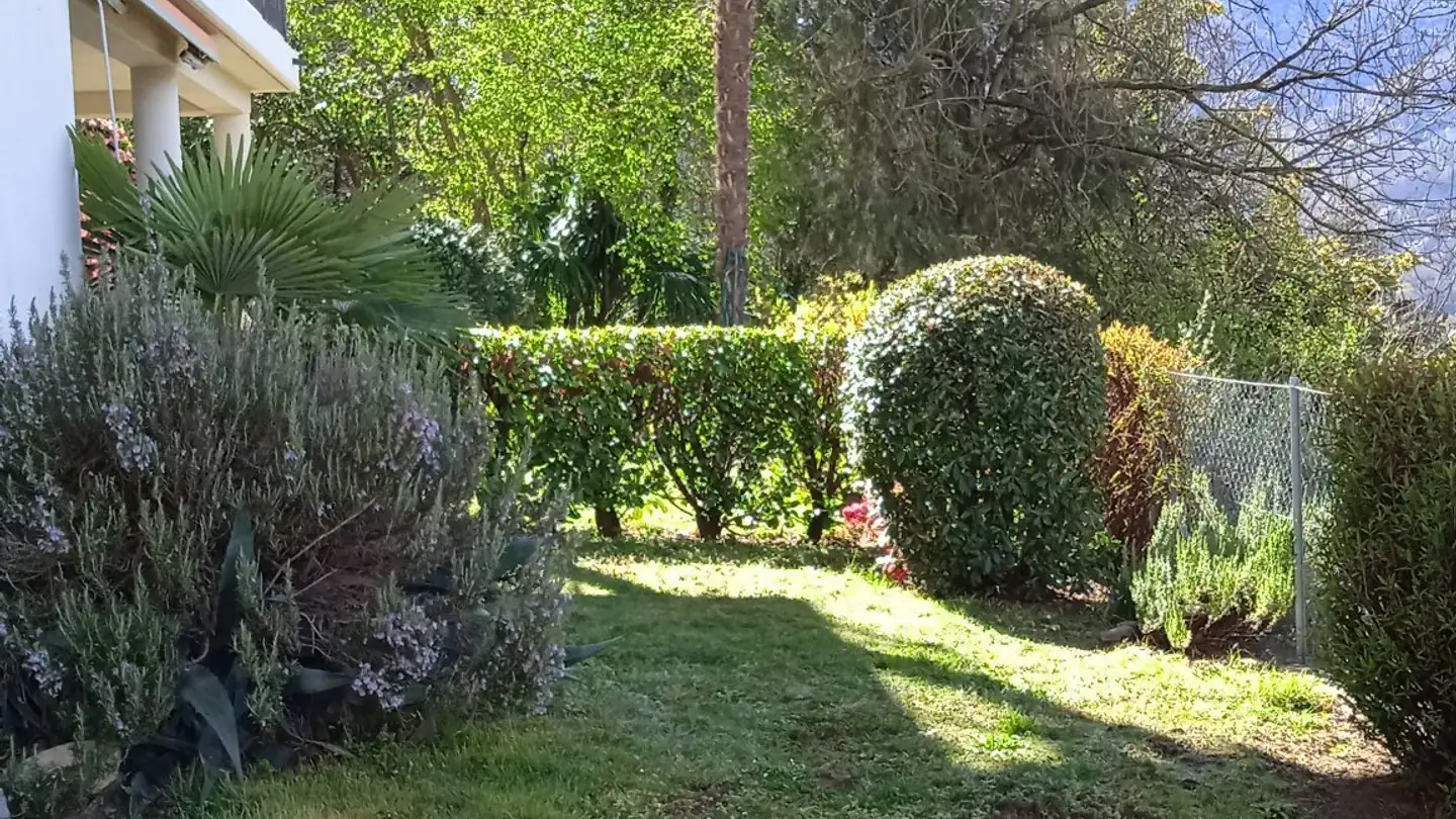 Appartamento in affitto - Purasca, 6989 Purasca - Photo 2