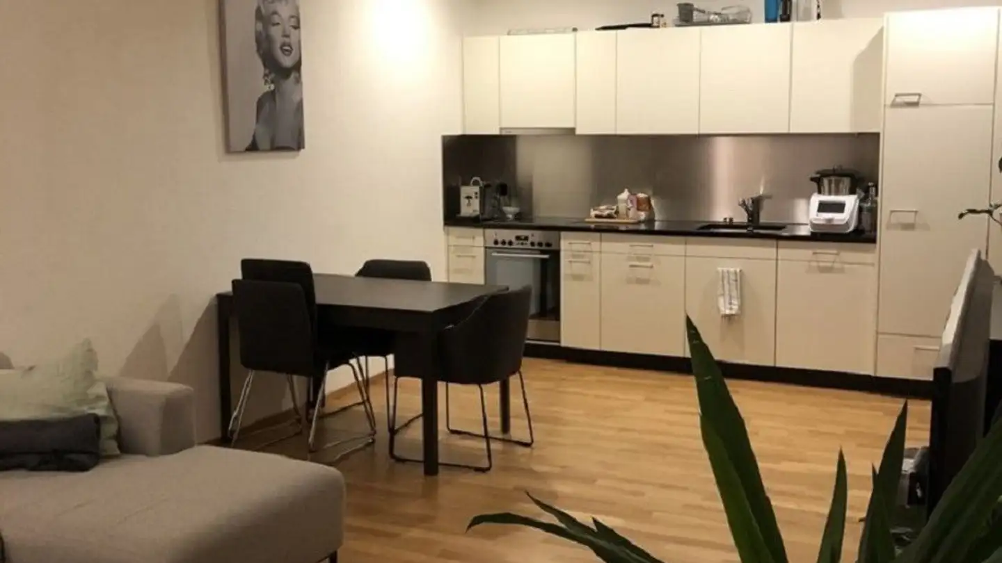 Appartamento in affitto - Wülflingerstrasse 1, 8400 Winterthur - Foto 4