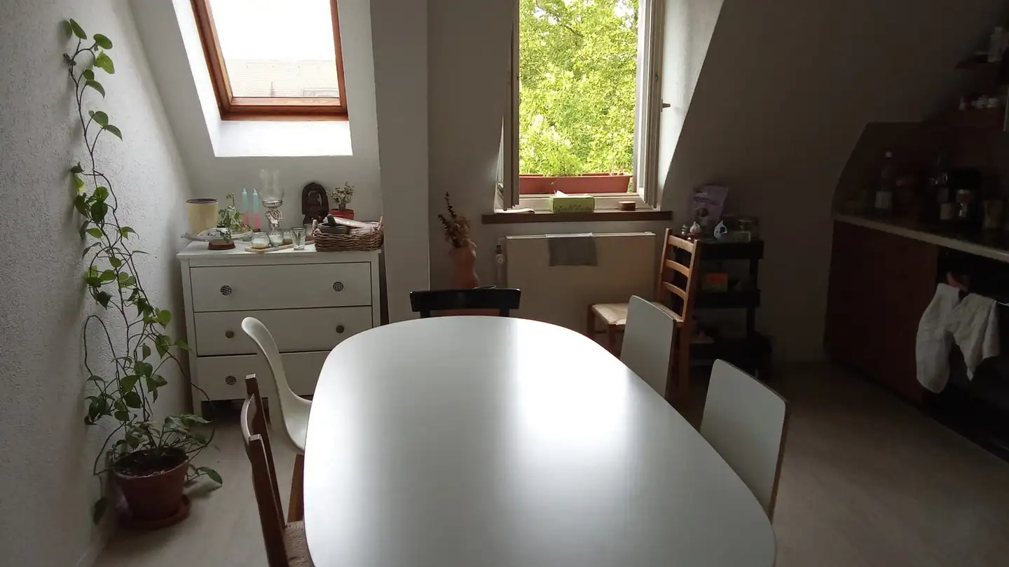Single room for rent - Josefstrasse, 8005 Zürich - Photo 2
