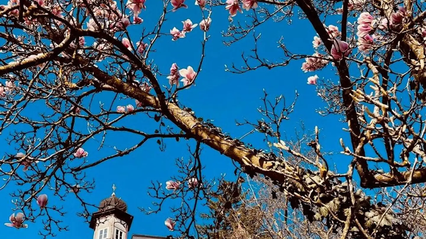 Appartement à louer - Hohlenweg 6, 3293 Dotzigen - Photo 3