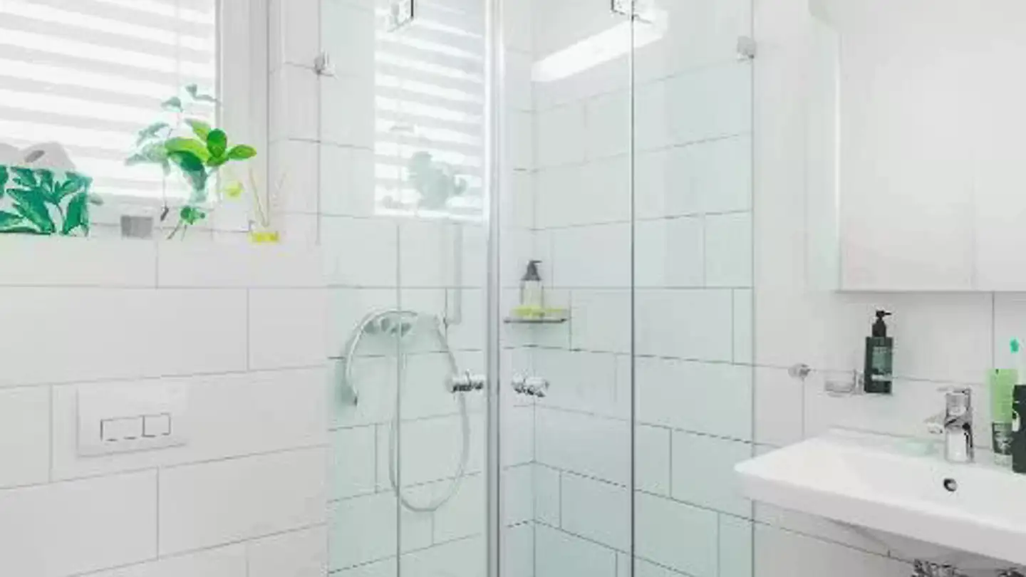 Appartamento in affitto - Binzmühlestrasse, 8050 Zürich - Foto 4