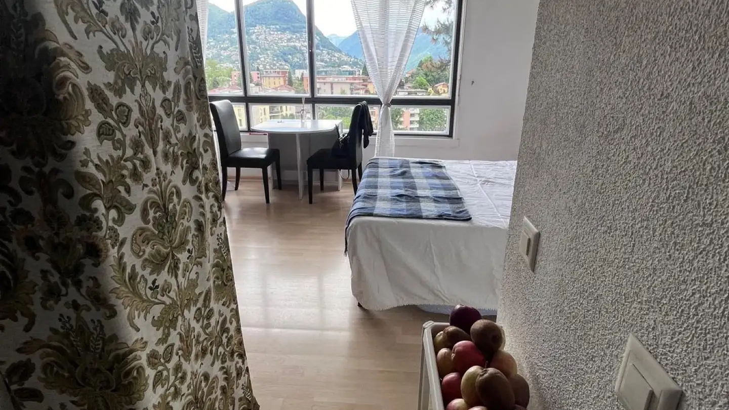 Appartamento in affitto - Via Sorengo, 6900 Lugano - Photo 2