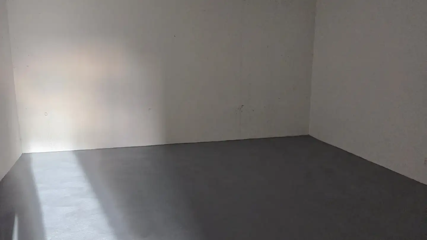 Commercial for rent - Zwingenstrasse 6, 4223 Blauen - Photo 3