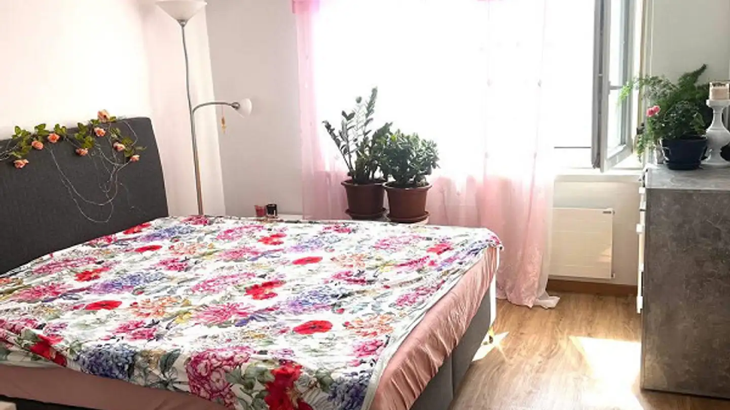 Appartement à louer - Herrenmattstrasse 3, 6285 Hitzkirch - Photo 3