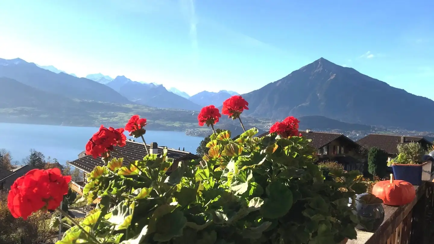 Zimmer mieten - Sigriswilstrasse 155, 3655 Sigriswil