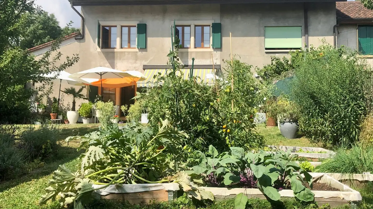 Zimmer mieten - Allens, 1304 Cossonay-Ville - Foto 2