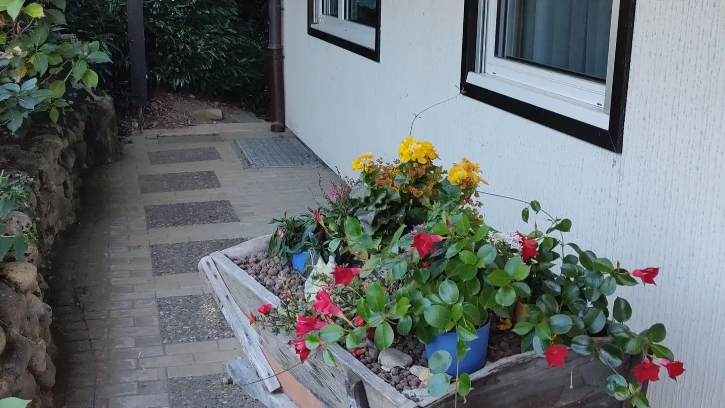 Einfamilienhaus kaufen - Sonnrain 24g, 4944 Auswil - Foto 4