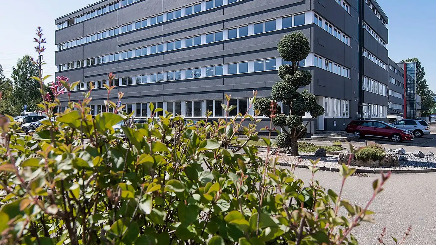 Industrial property for rent - Hölzliwisenstrasse 3, 8604 Volketswil