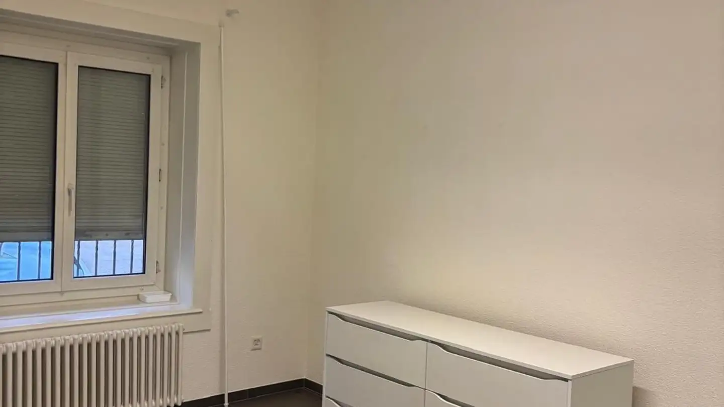 Gewerbe mieten - Schaffhauserstrasse 460, 8052 Zürich - Foto 3