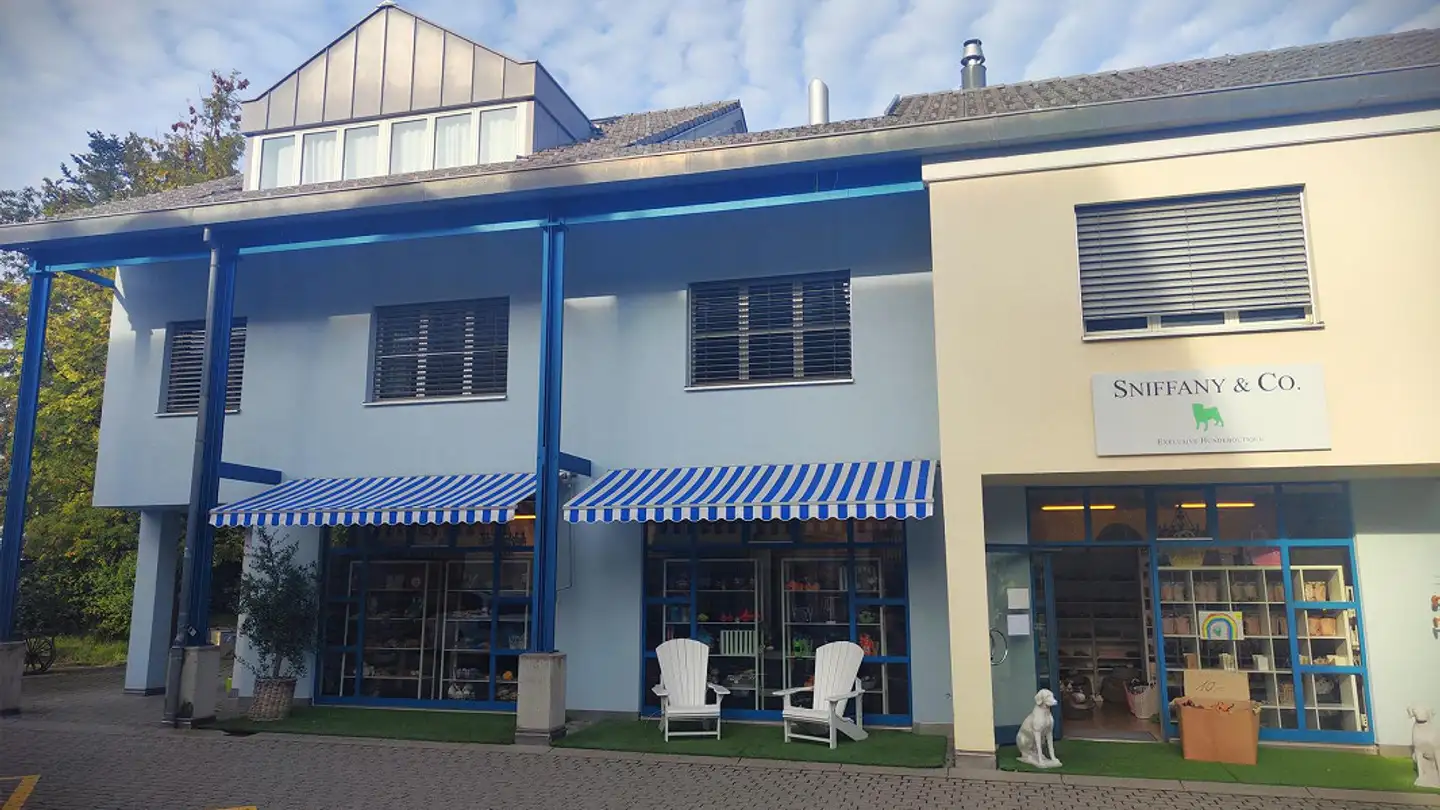 Magasin à louer - Tüfweg 3, 8044 Gockhausen