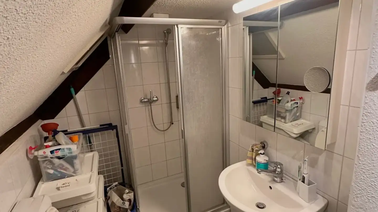 Attico in affitto - Eisenhofstrasse 8, 8810 Horgen - Foto 3