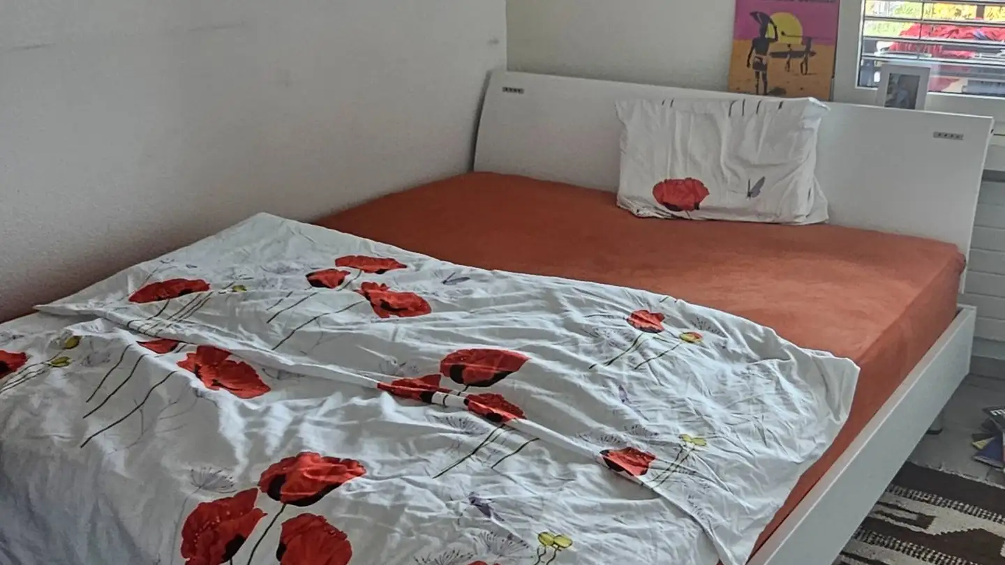 Single room for rent - Chamerstrasse 18, 6300 Zug