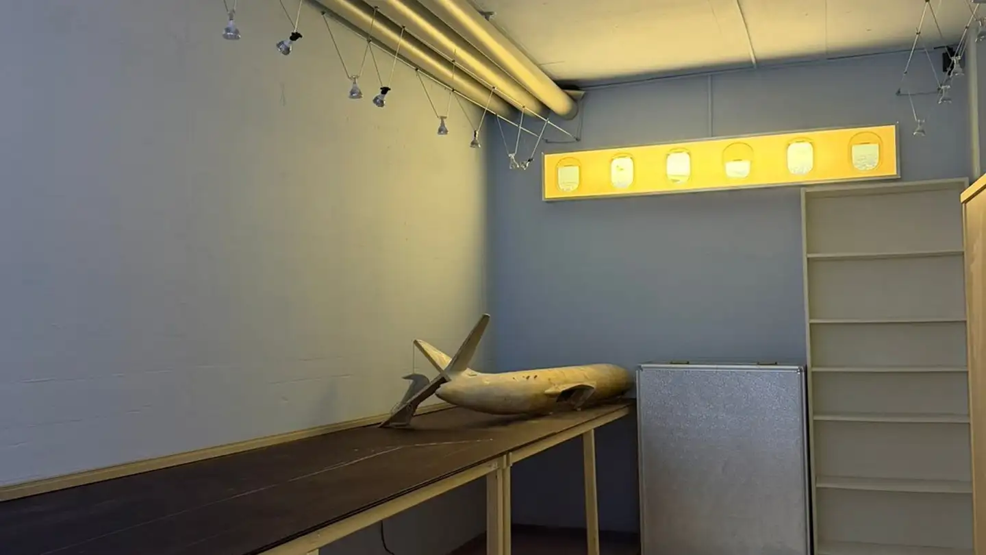 Commercial for rent - 8634 Hombrechtikon