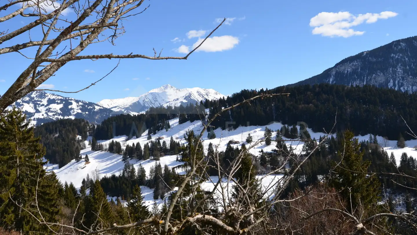 Chalet in vendita - 1659 Rougemont - Photo 2