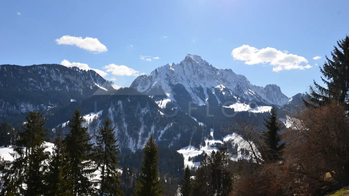 Chalet in vendita - 1659 Rougemont - Photo 3