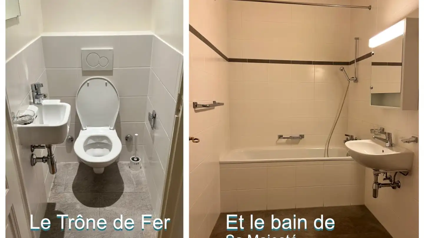 Single room for rent - Boulevard Helvétique 32, 1207 Genève - Photo 3