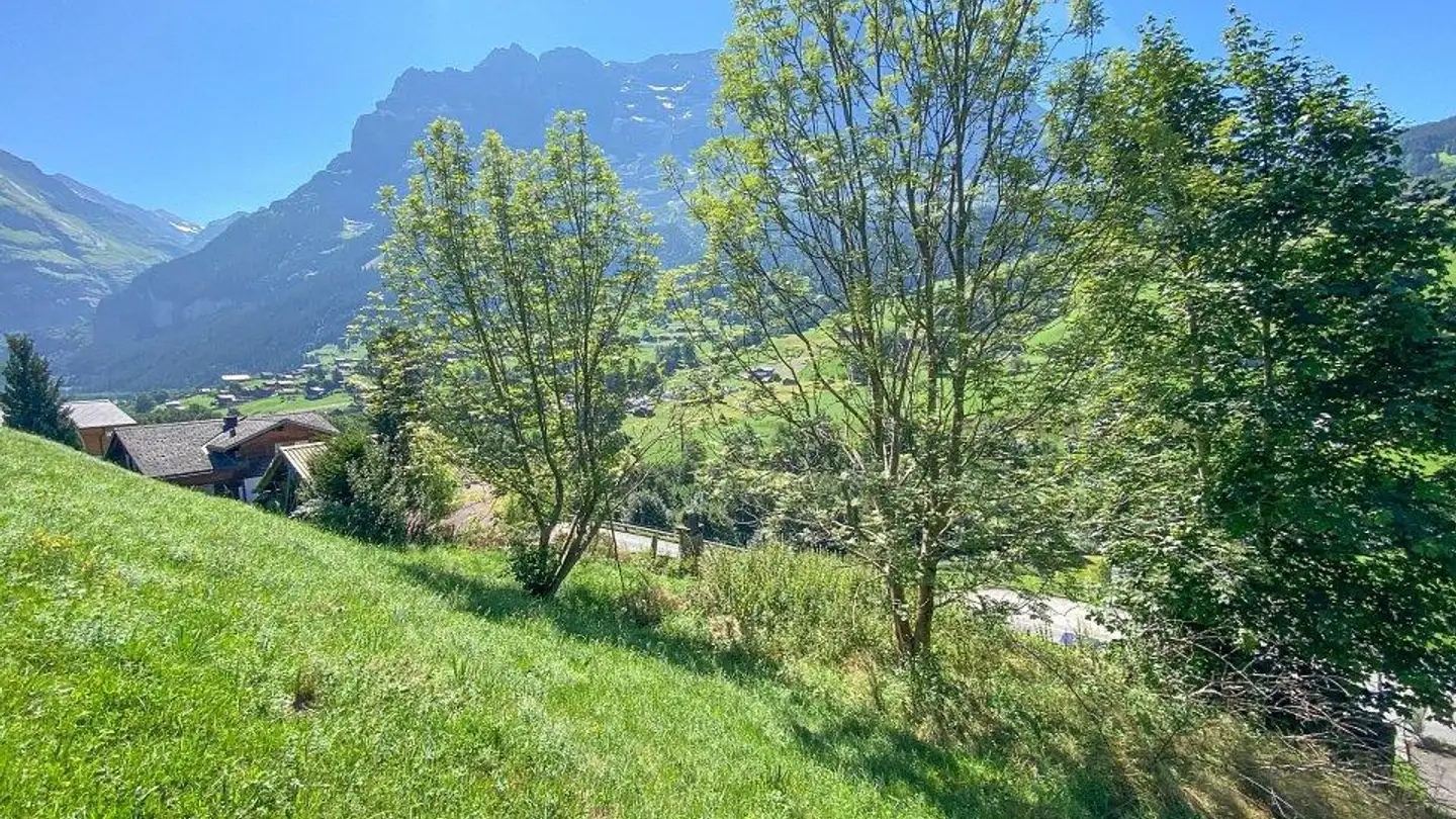 Constructible plot for sale - 3818 Grindelwald - Photo 3