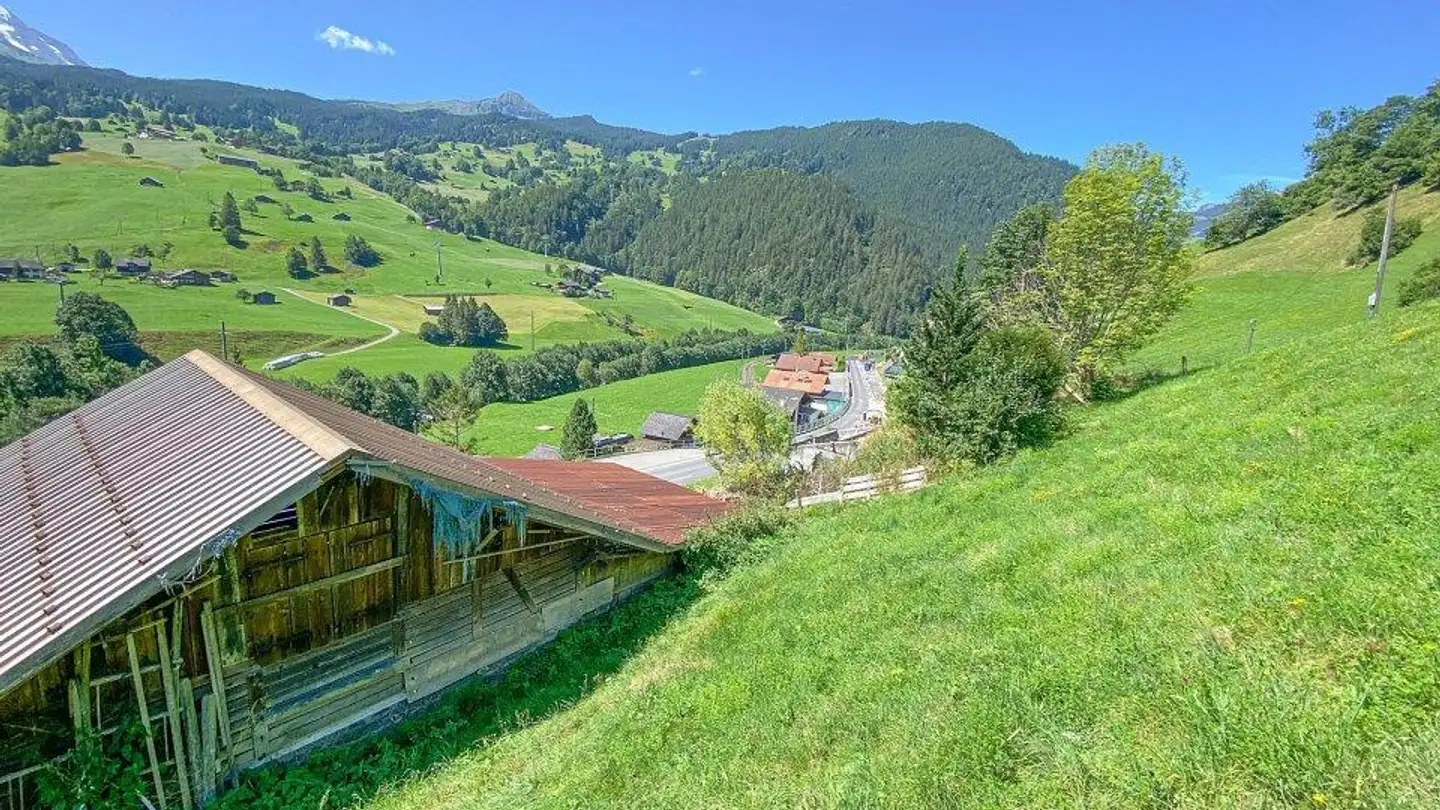 Constructible plot for sale - 3818 Grindelwald - Photo 4