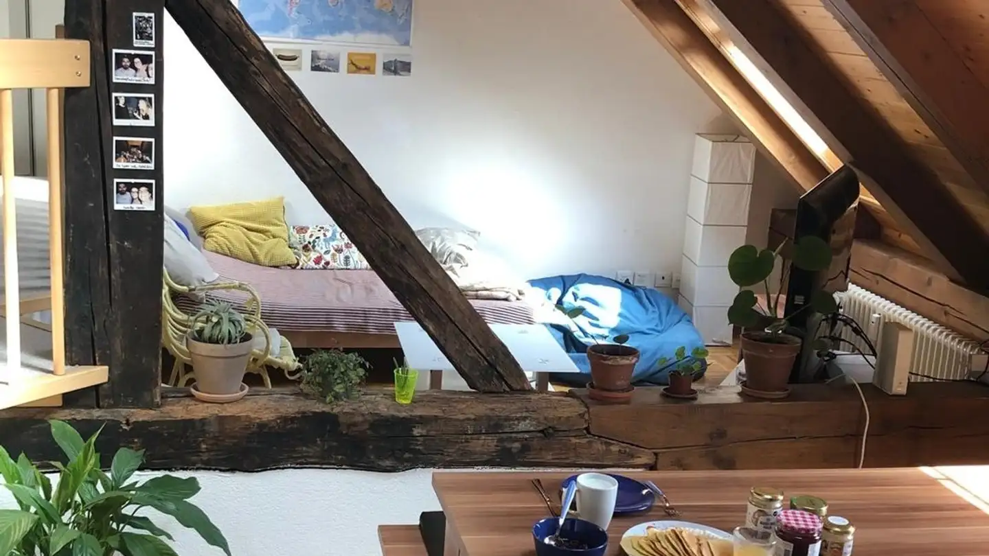 Stanza singola in affitto - 8047 Zürich - Foto 2