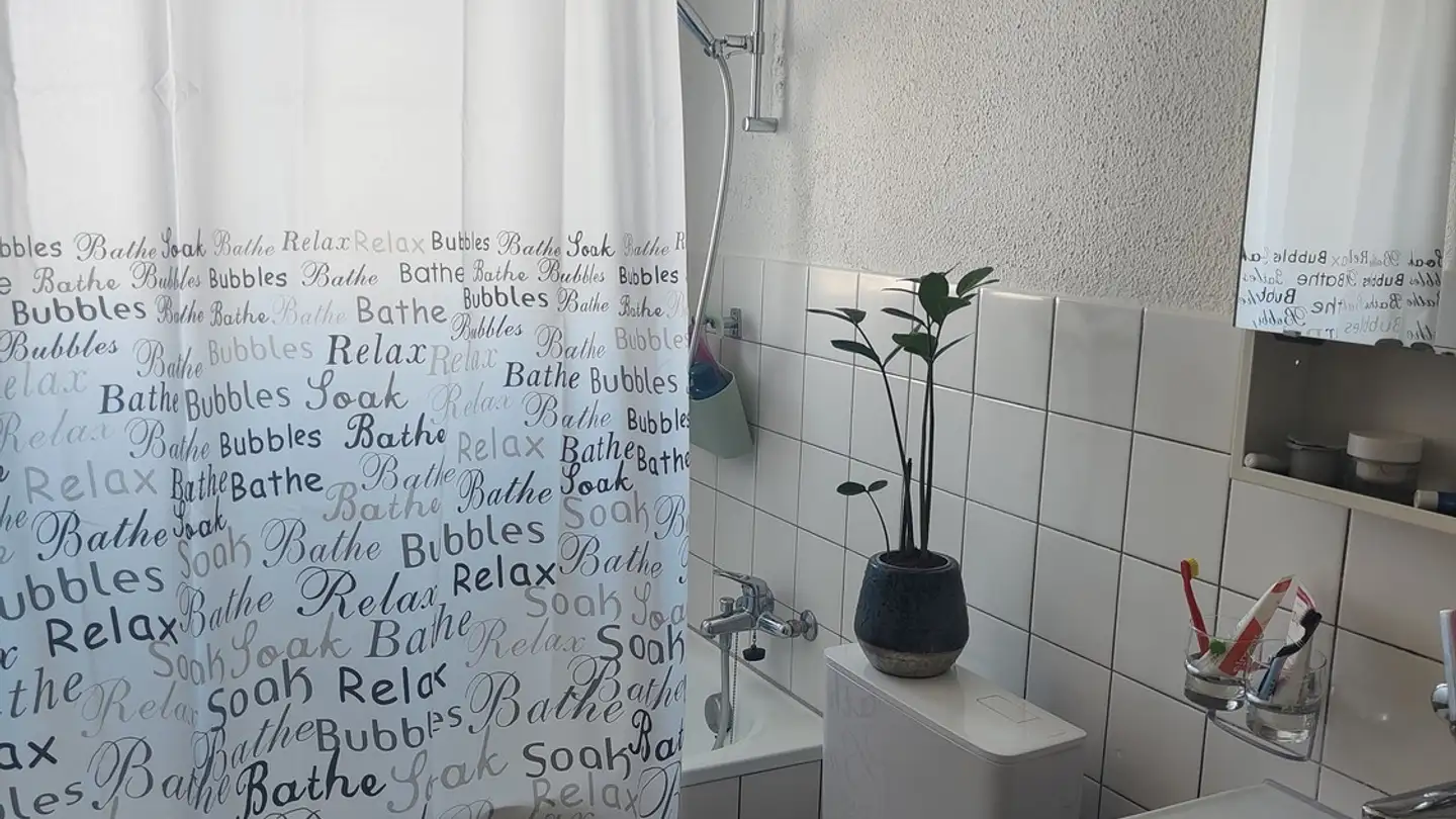 Single room for rent - 6030 Ebikon - Photo 2