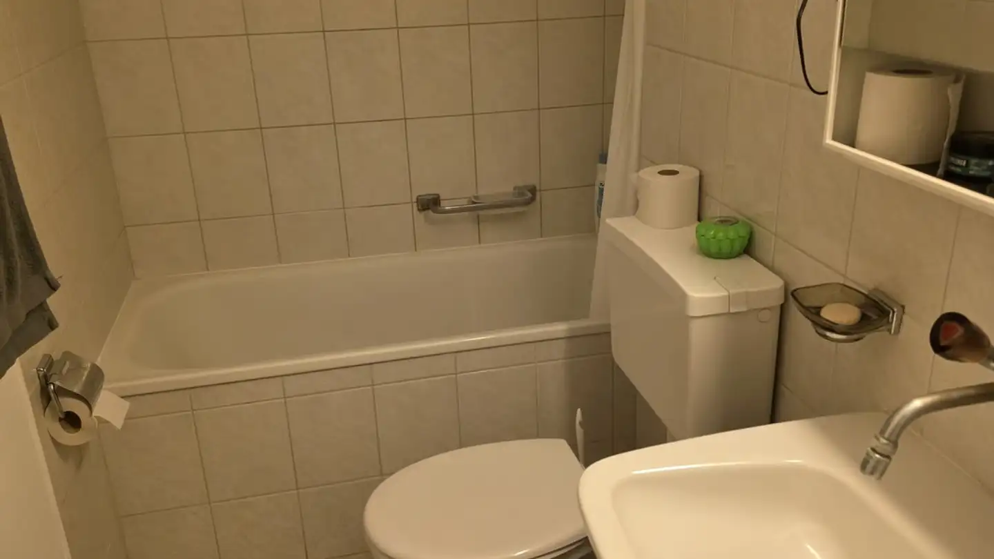 Appartement à louer - Hauentalstrasse 171, 8200 Schaffhausen - Photo 2
