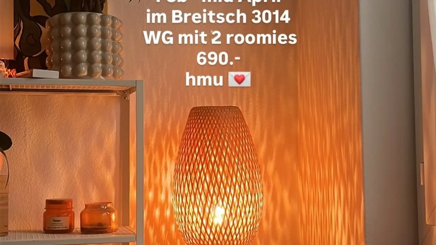 Stanza singola in affitto - 3014 Bern