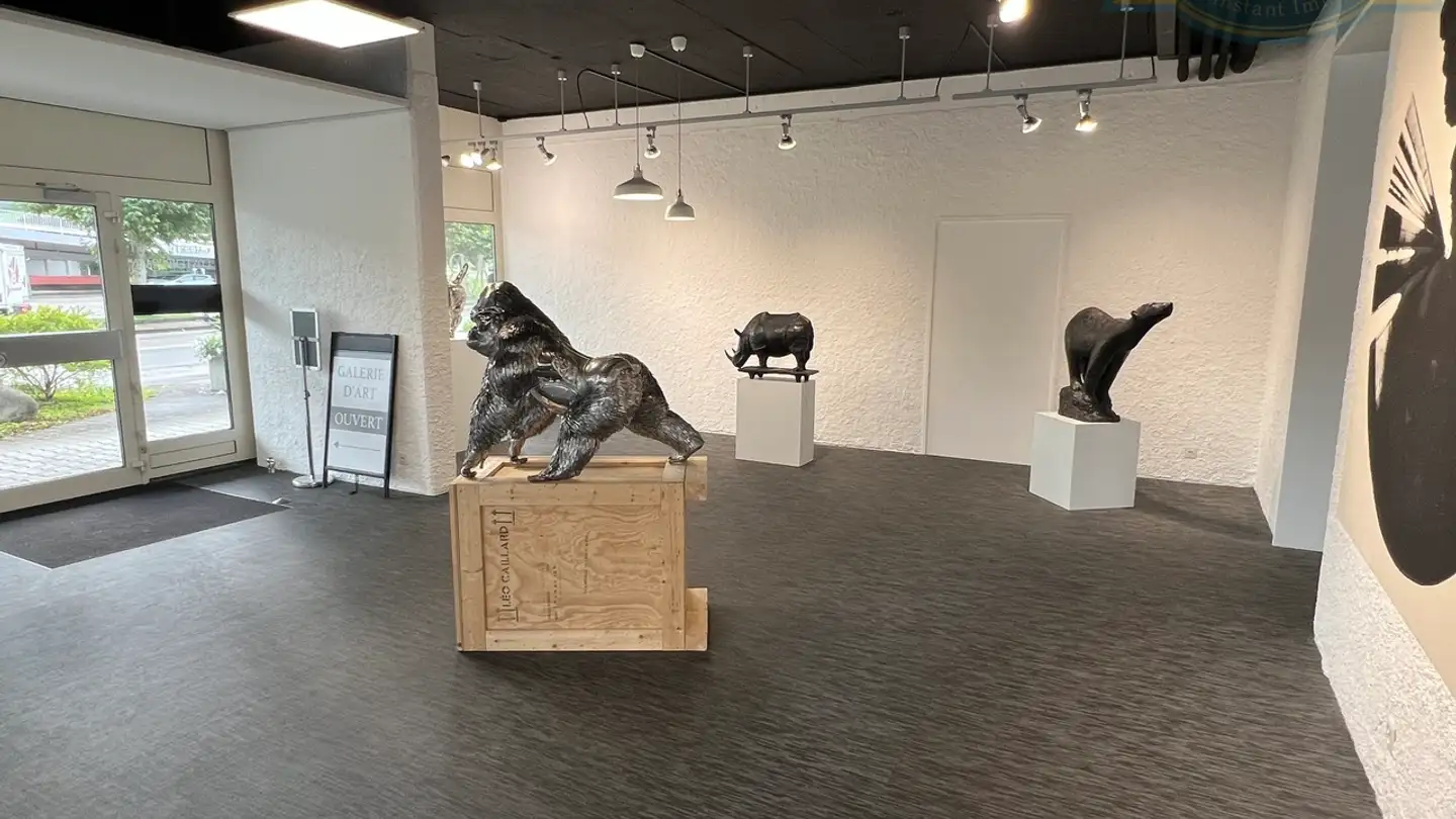 Commercial à louer - Rue Du Jura 11, 2900 Porrentruy - Photo 2
