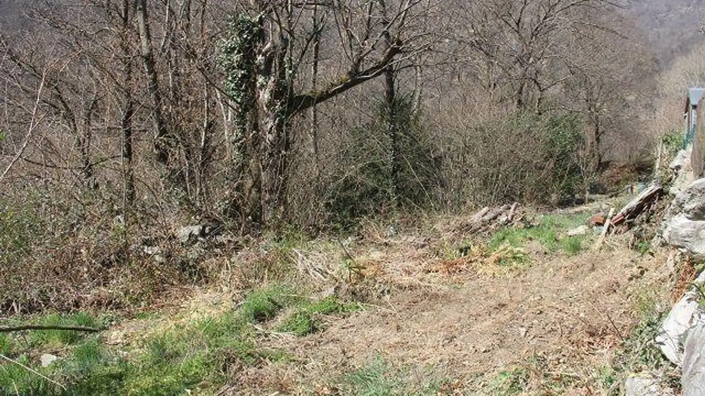 Constructible plot for sale - 6670 Avegno - Photo 2