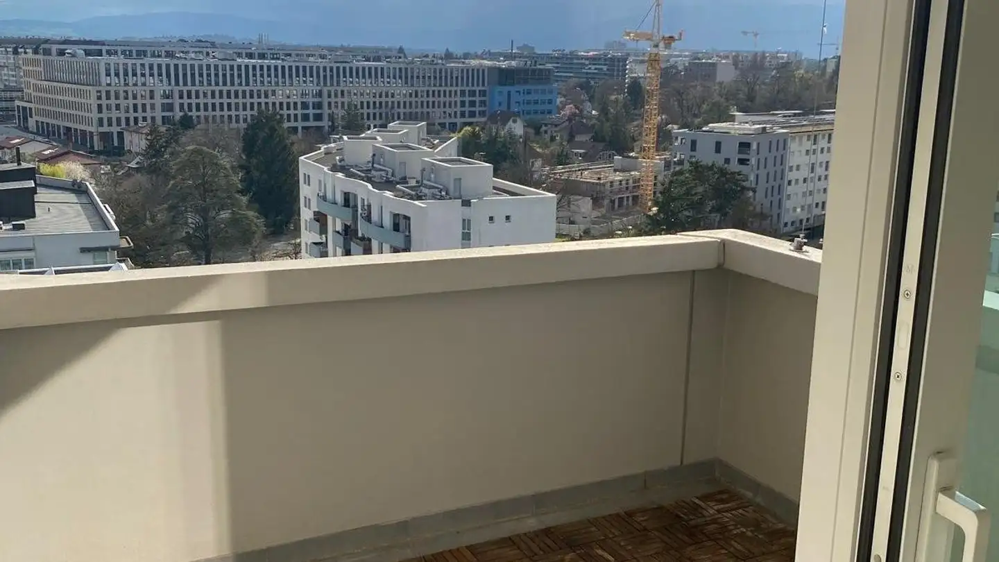 Appartamento in affitto - Avenue Ernest- Pictet, 1203 Genève